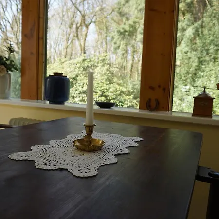 Haus Niedersachsen بيت ضيافة فوربسفيديه